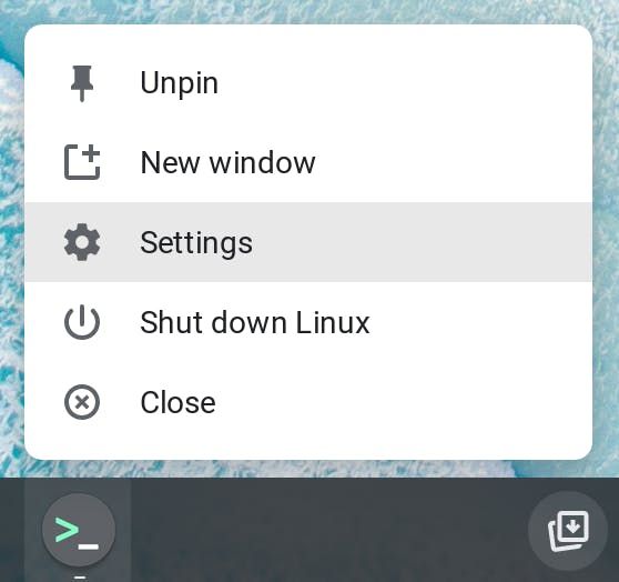 Access Terminal settings by right-clicking the Terminal icon.