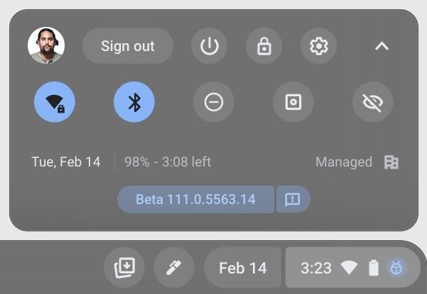 Channel labeling UI showing the user on Beta with the ChromeOS version they're on.